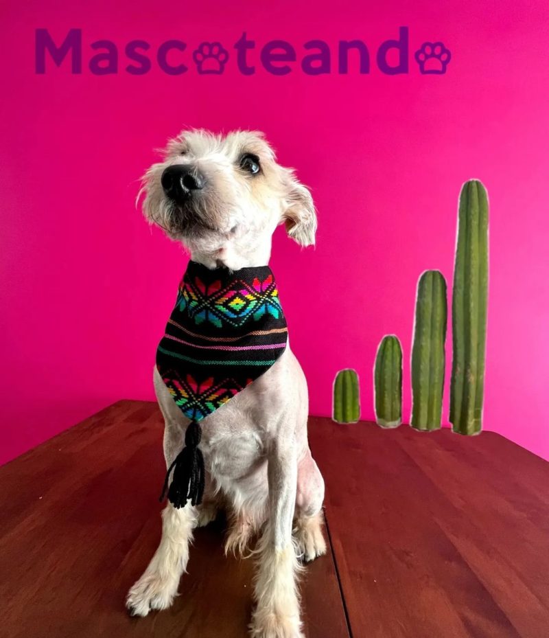 Bandanas muy mexicanas