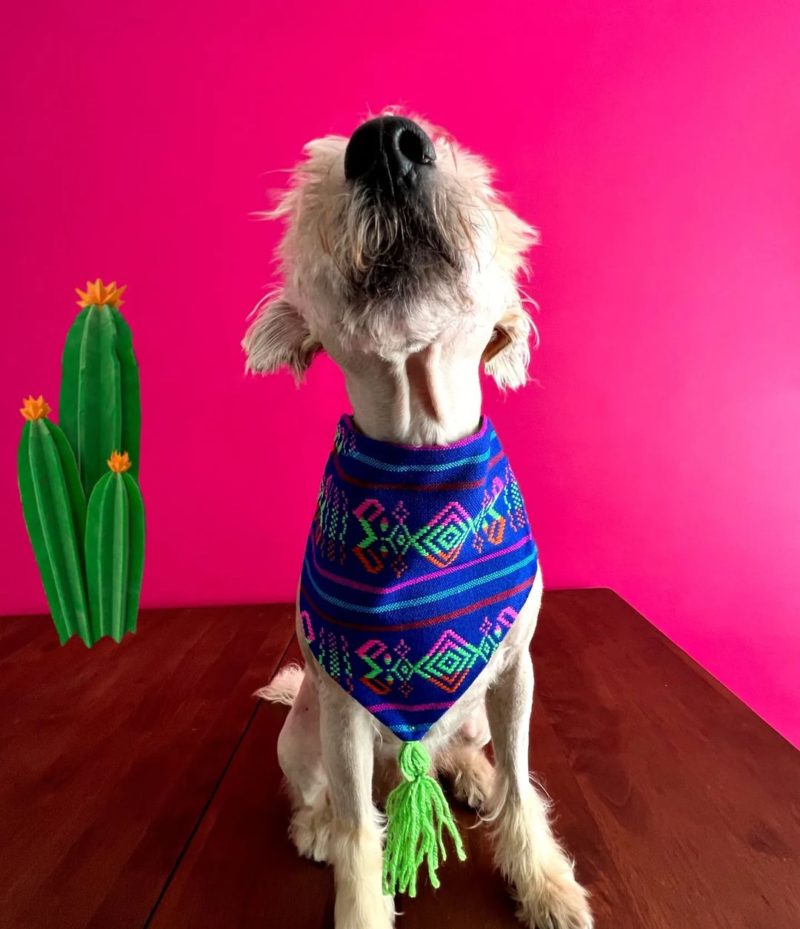 Bandanas muy mexicanas - Image 2