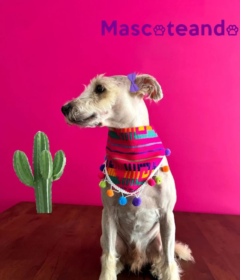 Bandanas muy mexicanas - Image 3