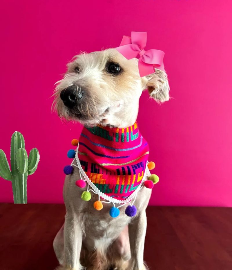 Bandanas muy mexicanas - Image 4