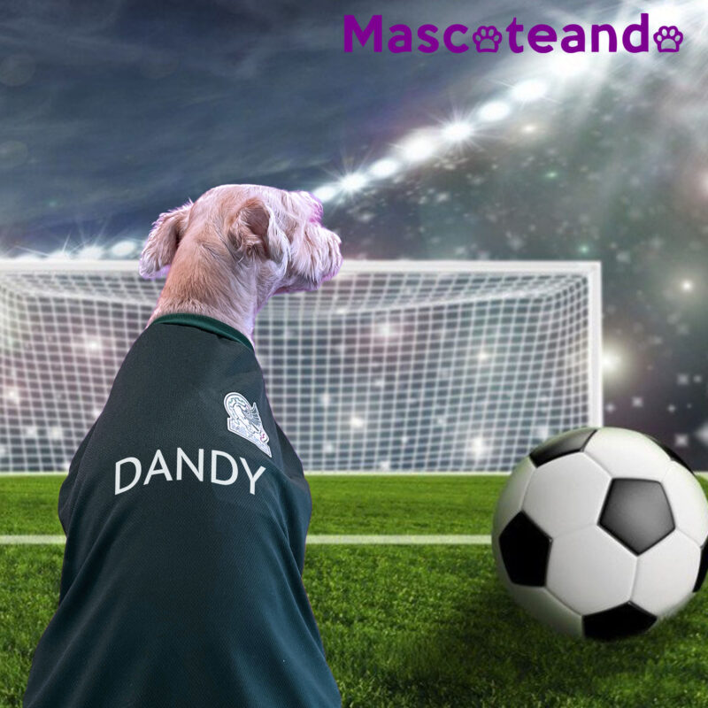Playera selección mexicana