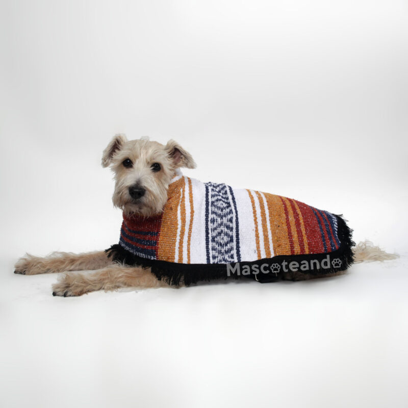 Jorongo mexicano café para mascotas