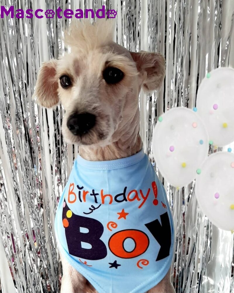 Bandana de cumpleaños para perrhijo