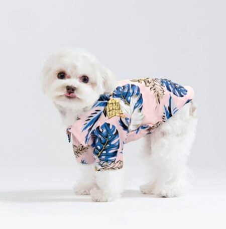 Guayabera rosada