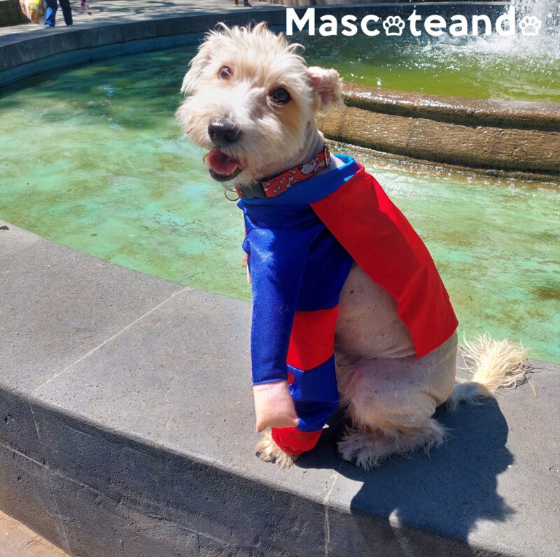 Disfraz Superman - Image 2