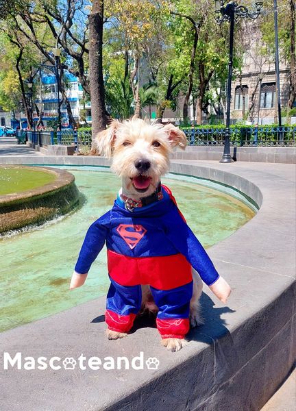 Disfraz Superman