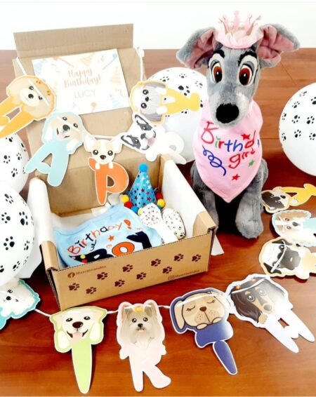 Mascopack Cumpleañero